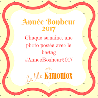 http://www.lafillekamoulox.com/annee-bonheur-2017/