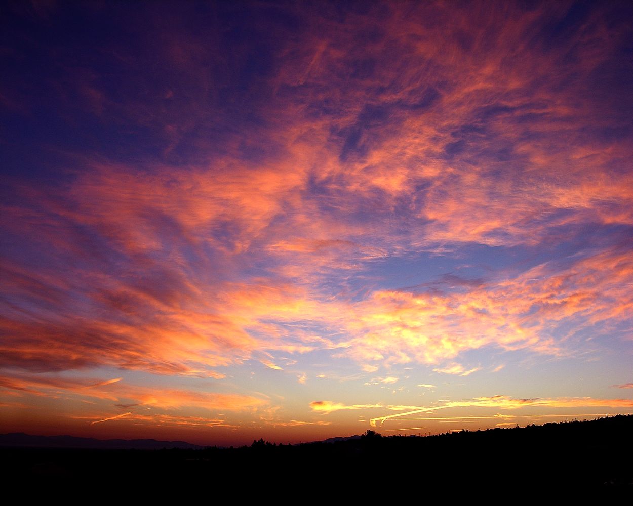 All Too Human Nietzsche Daybreak 1881 And The Party Member 