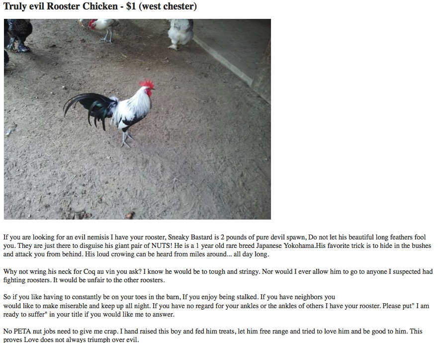 Now and Hen Truly Evil Rooster Craigslist Gem