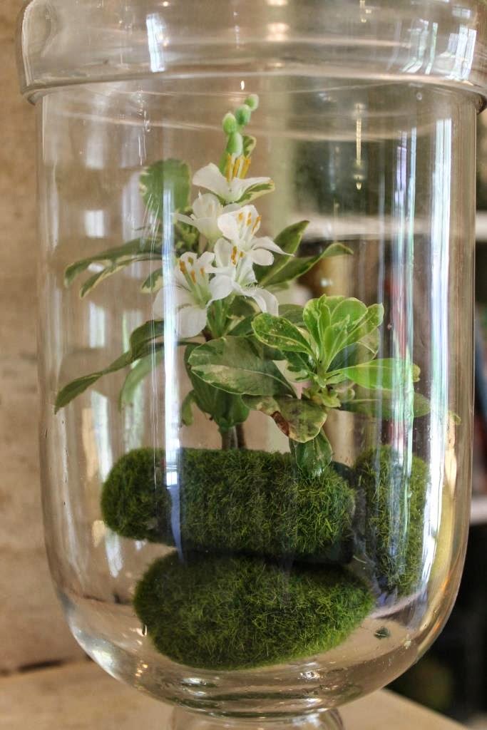 DIY Faux Moss Terrariums Miss Kopy Kat
