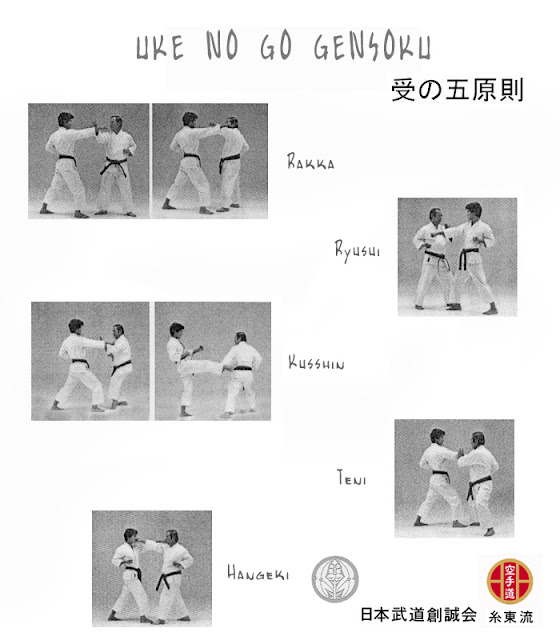 Familia Iwata. Autentico legado del ShitoRyu Karate
