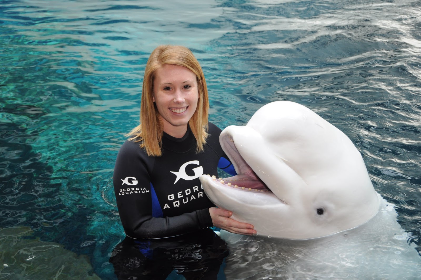 Aquarium Internship 28 Days Left!