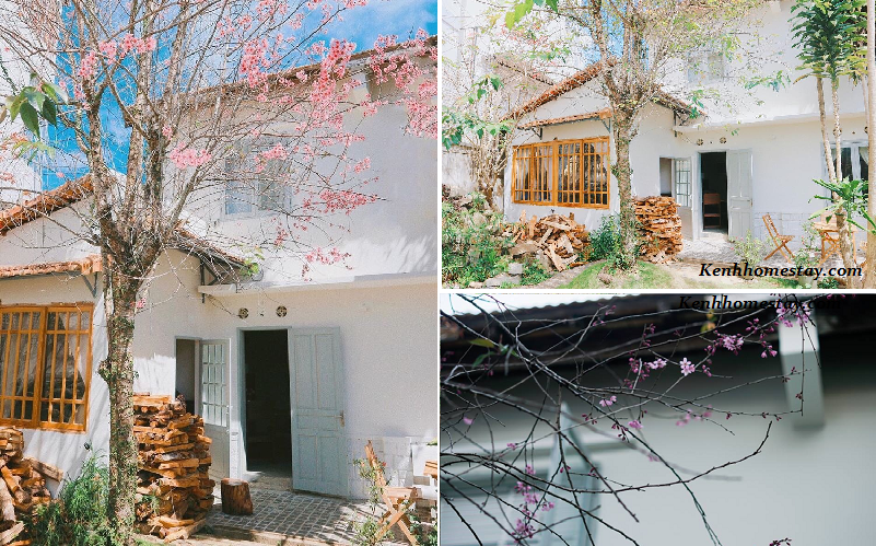 Homestay Émai Dalat: Cứ ngỡ lạc vào ngoại ô thành Rome vĩnh hằng