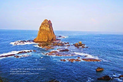 Wisata Pantai di Jember Wisata Pantai di Jember