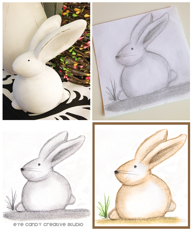 bunny illustration, sketch to digital, bunny, digitized illustration, pier 1