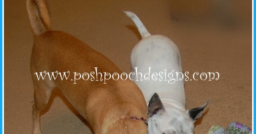 Woobie Dog Toy Woobie Dog Toy