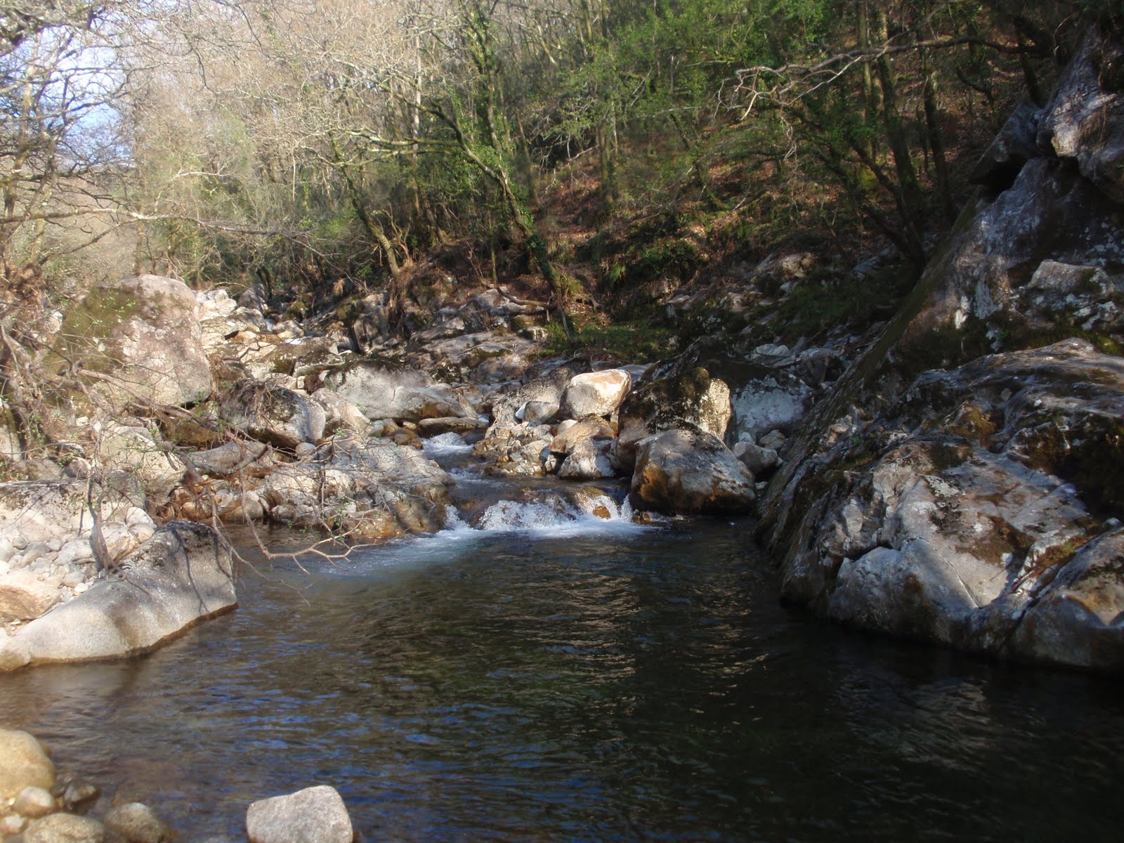 nosolomosca: marzo 2011