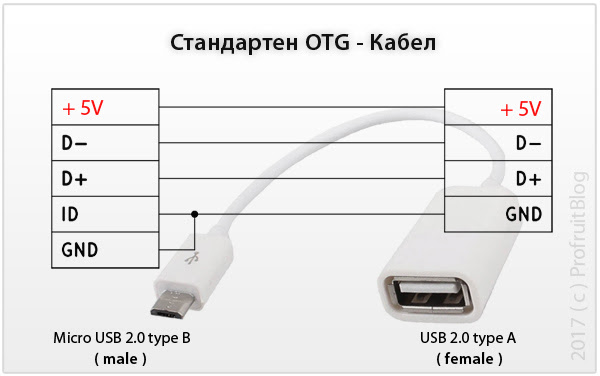 standart OTG cable