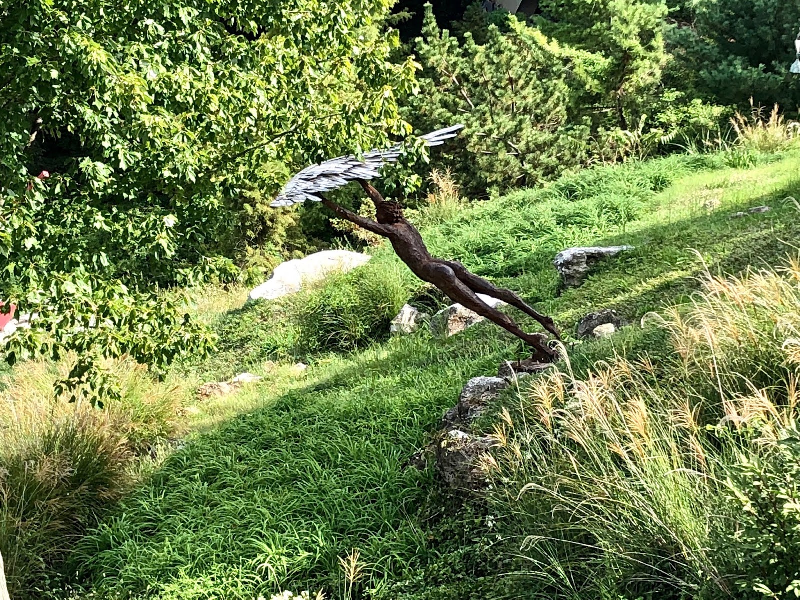 IS THAT THE CAT THAT CHEWED YOUR NEW SHOES?