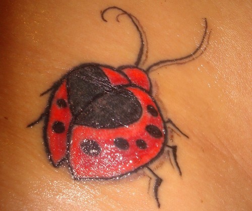 Ladybug Tattoo Meanings And