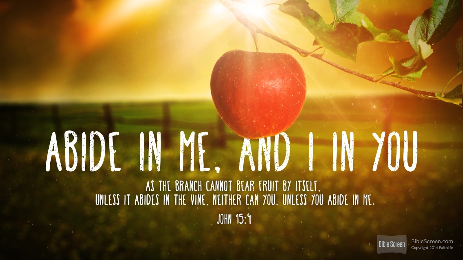 Abide In Me And I You As The Branch Cannot Bear Fruit Of Itself Unless It Abides Vine Neither Can Abide In Me And I You As The Branch Cannot Bear Fruit Of Itself Unless It Abides Vine Neither Can