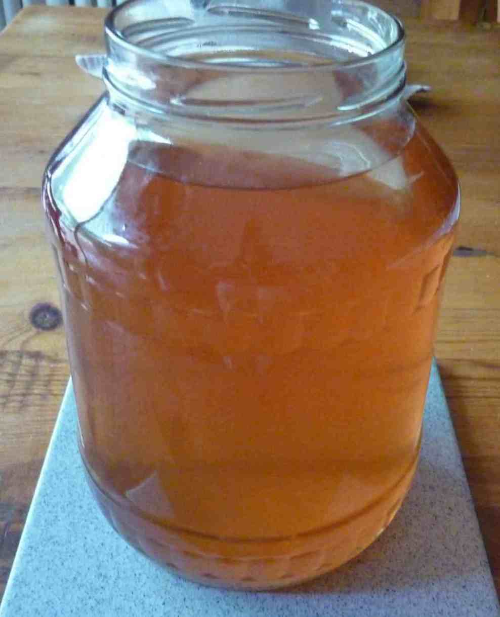 Simpleliving Making My Kombucha ! The culture arrived today