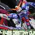 Painted Build: DM 1/100 Destiny Gundam