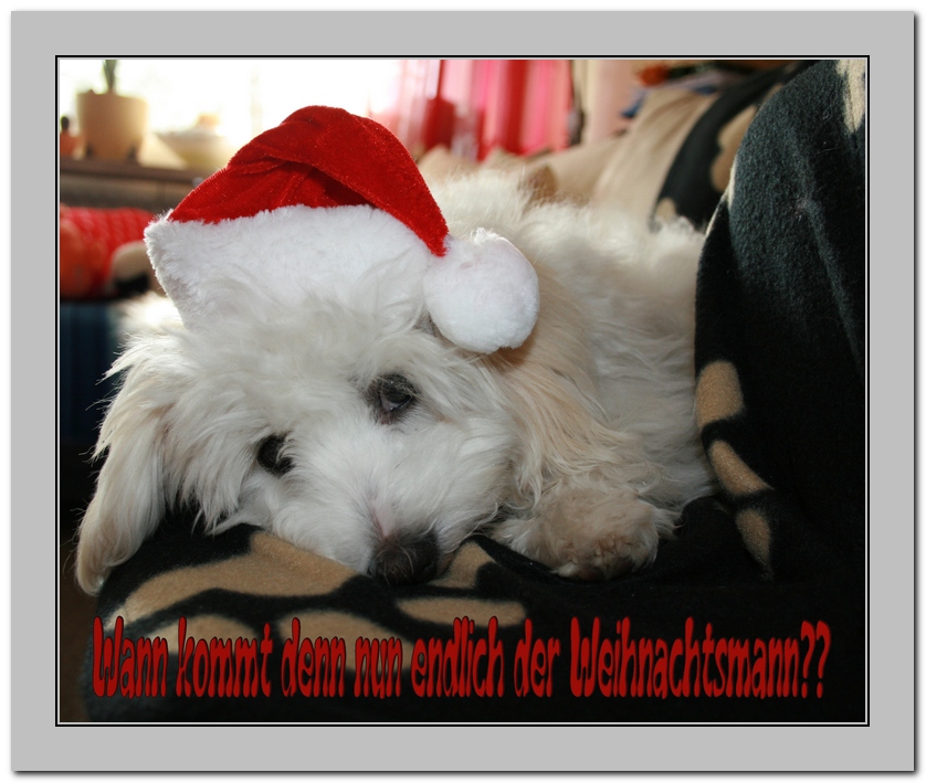 Manu�s kleine Welt 1. Advent