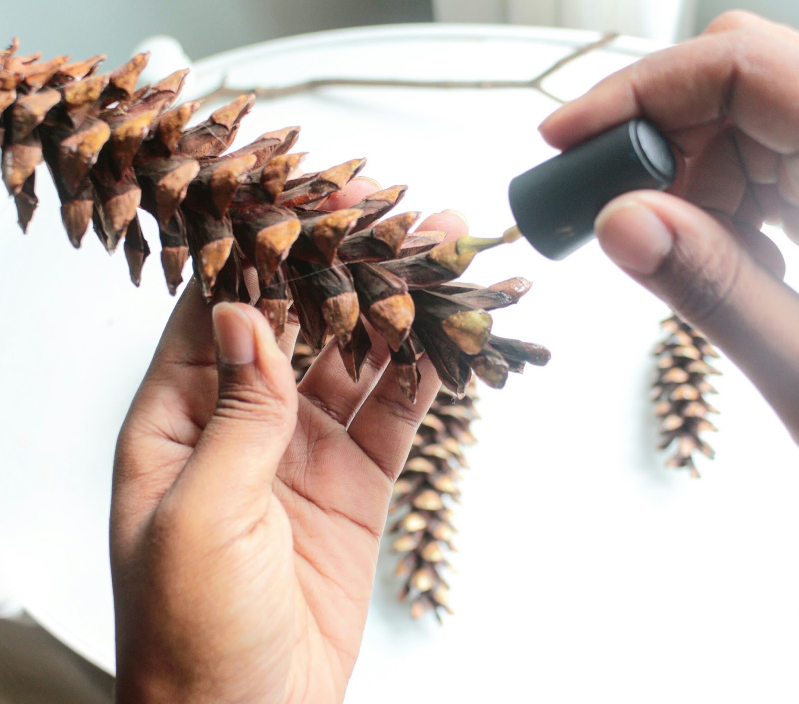 Easy Pine Cone Wall Hanging