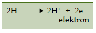 Tahapan dan Bagan Siklus Reaksi Glikolisis, Dekarboksilasi Oksidatif, Daur Asam Sitrat (Siklus Krebs) serta Transfer Elektron Pada Proses Respirasi Aerob