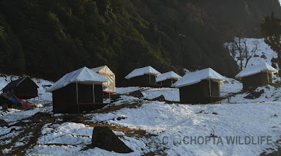 Chopta camps by batohee.com