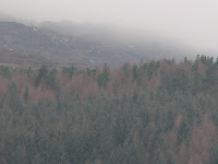 louhth mountain mist 2011 copyright kerry dexter