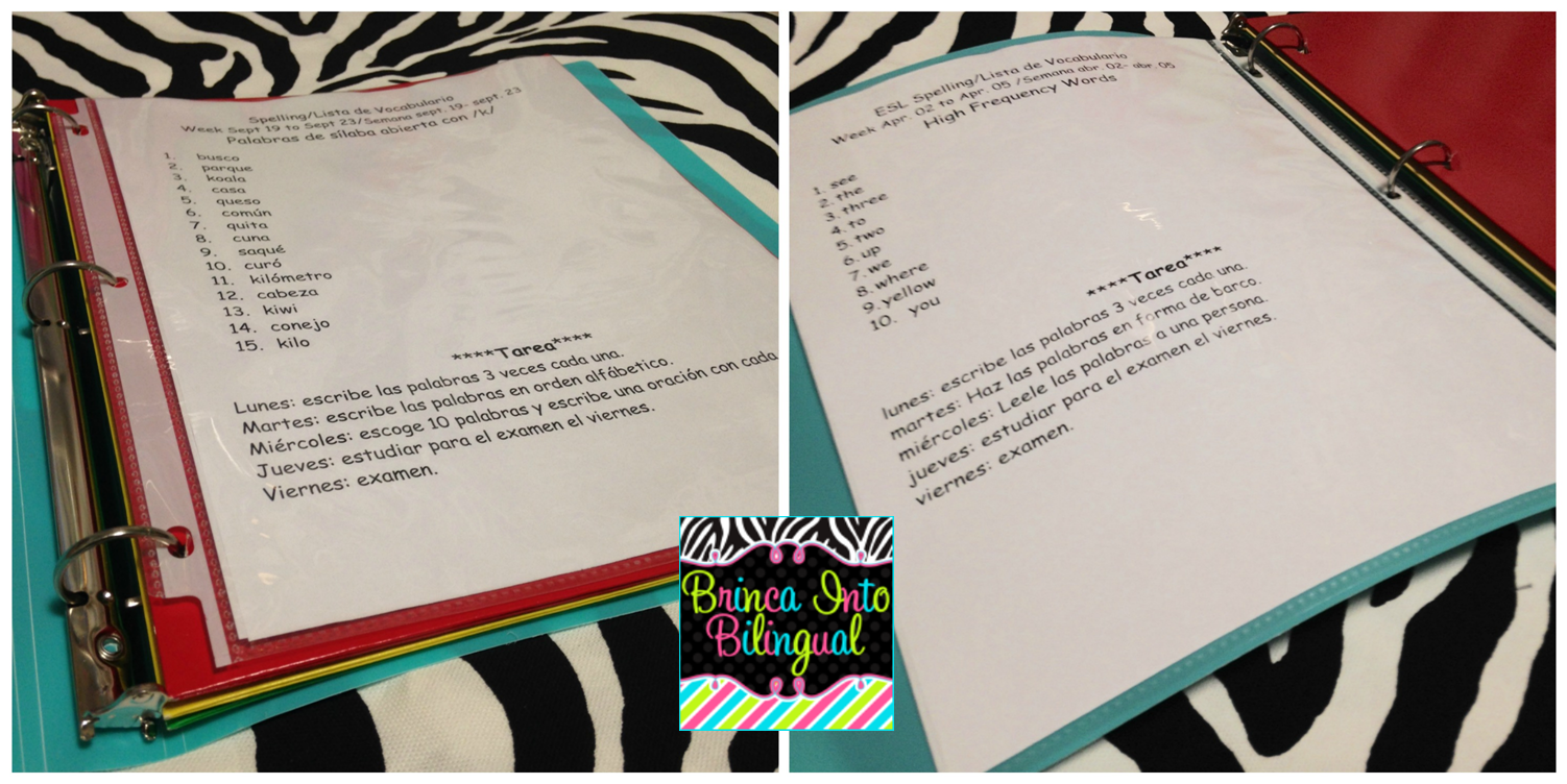 Hate crime theories essay