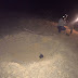 Estrondo assusta moradores de Utinga