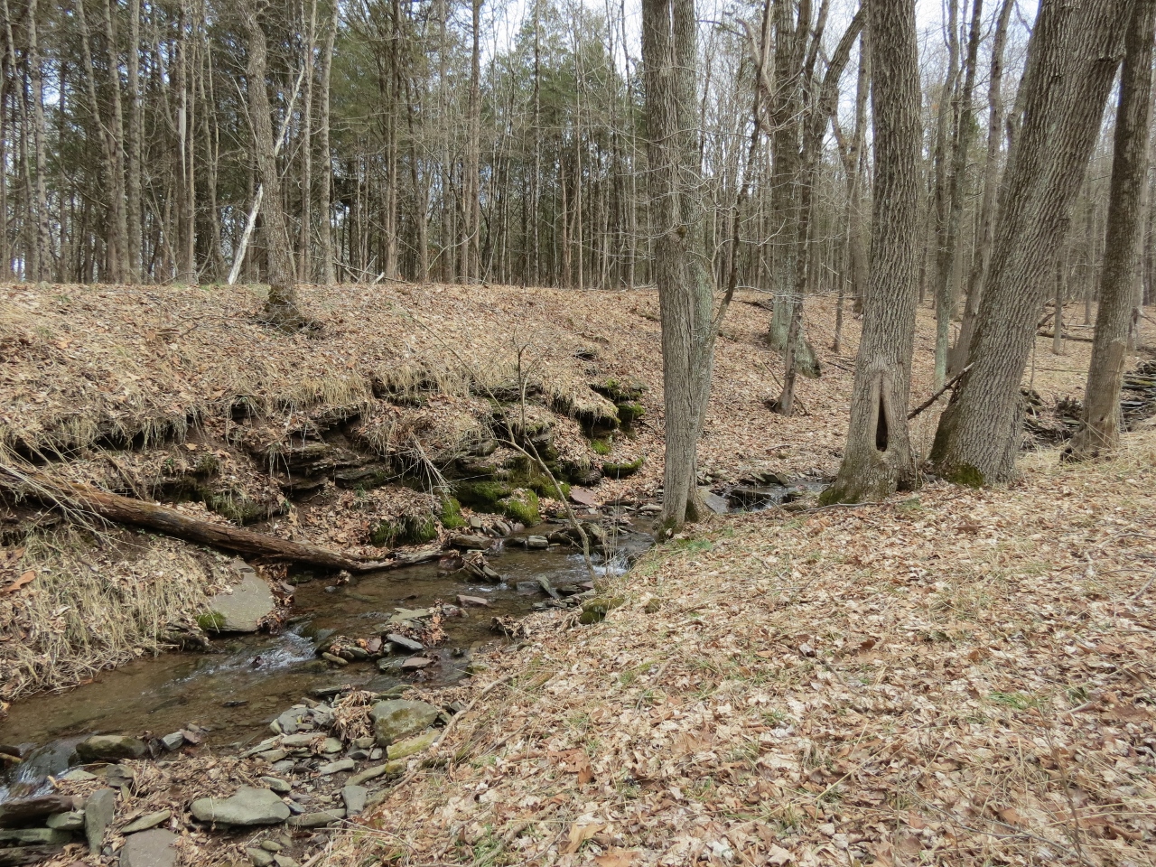 Gone Hikin' Horseshoe Bend Park, NJ North