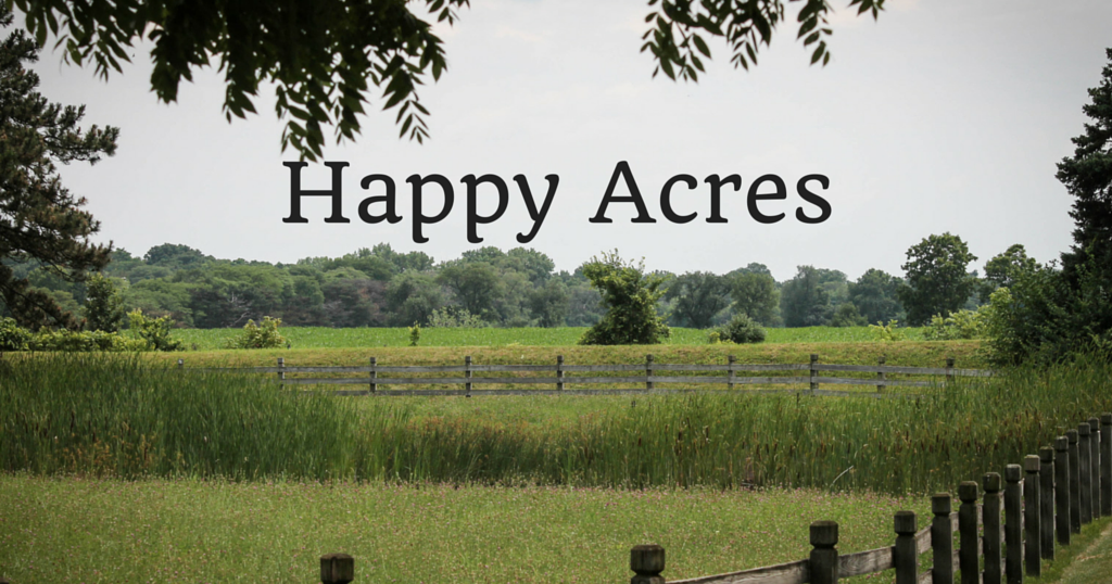 The Bees’ RV Happy Acres