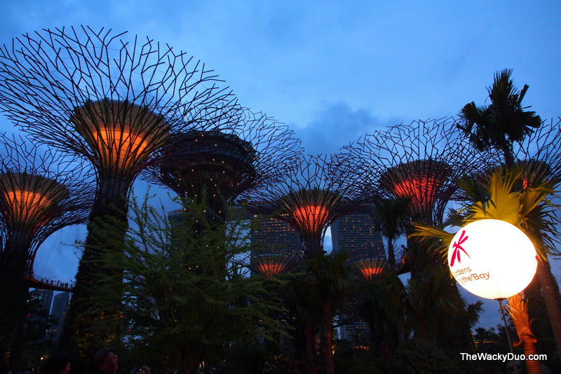 National Day Fireworks Gardens by the Bay