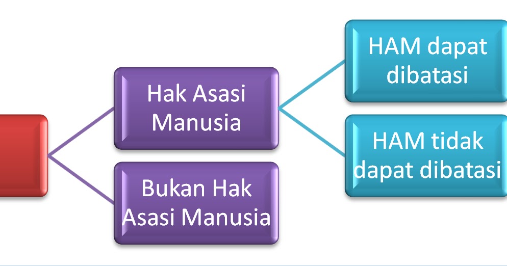 Database support. Database support