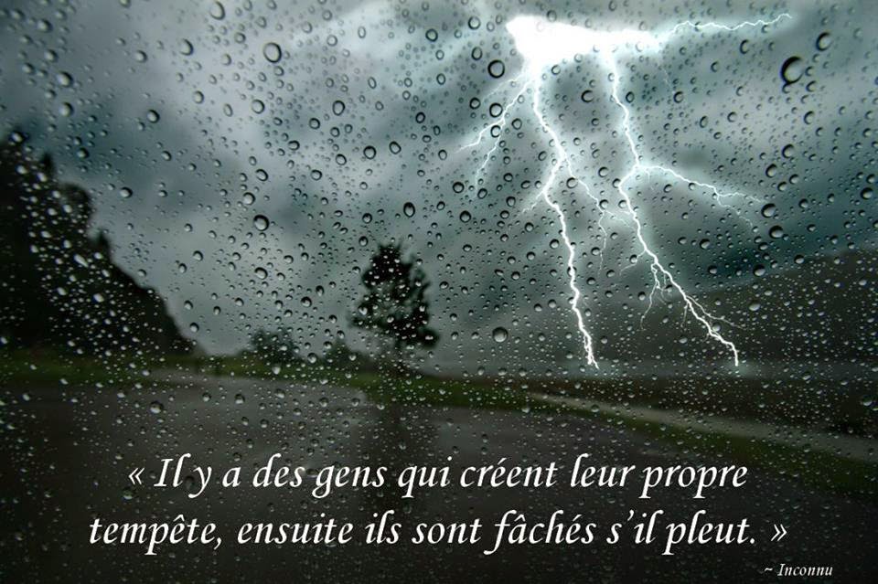 On Recolte Ce Que L On Seme Citations option bonheur: On récolte ce qu'on sème