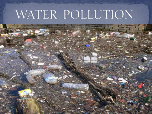 Humans And Water Pollution 110