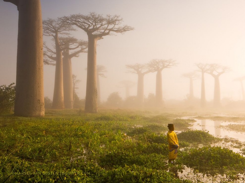 20 από τις καλύτερες φωτογραφίες από το αρχείο του National Geographic