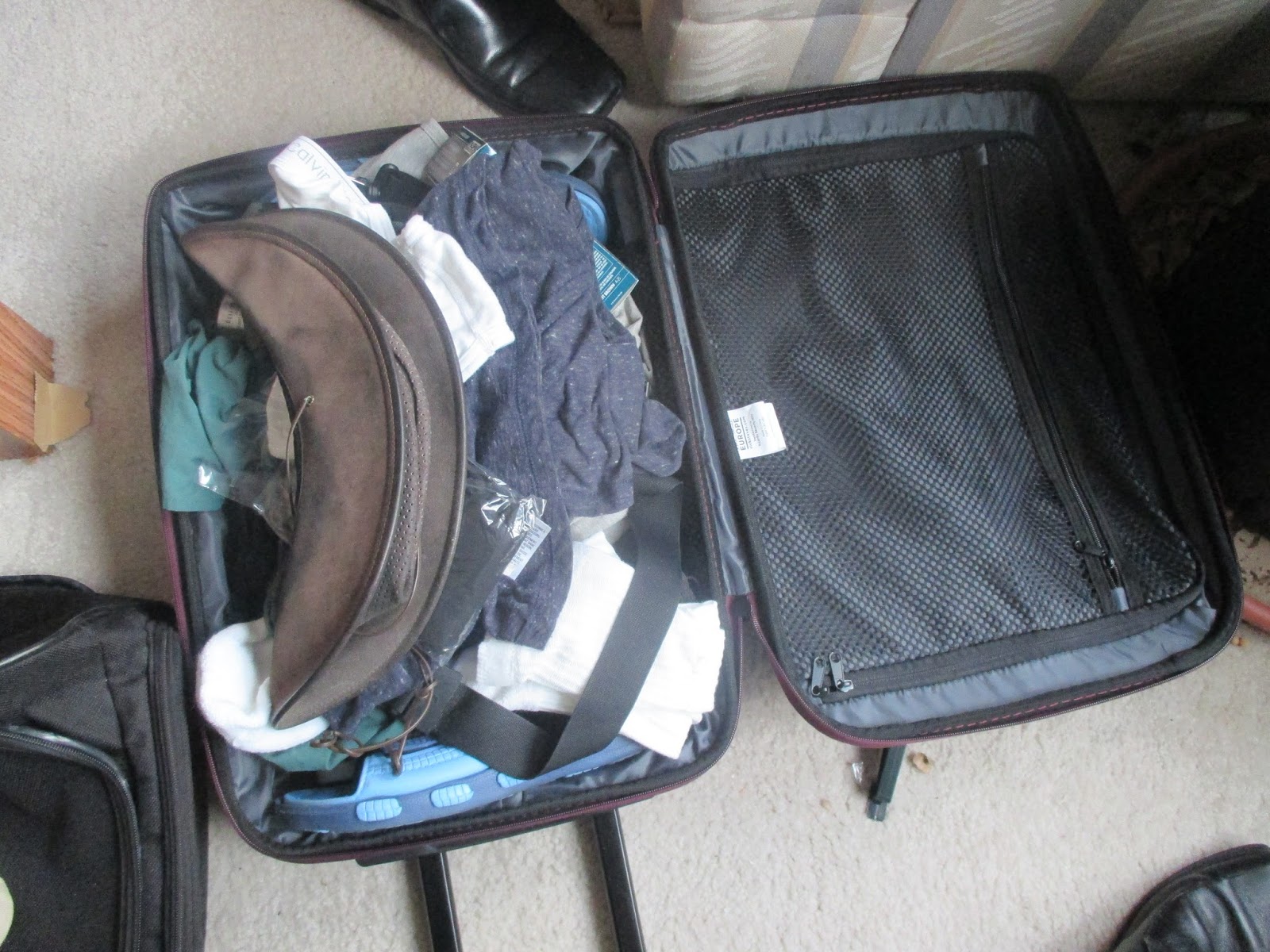 Review of the Rick Steves rollerboard carryon Review Rick Steve's