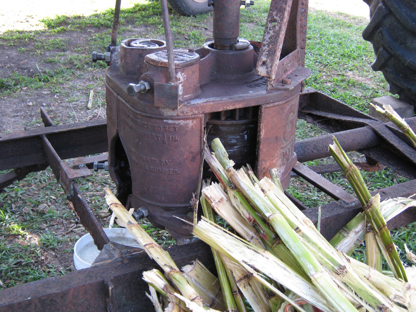 Pioneer Home Making sugar cane syrup, the oldfashioned way