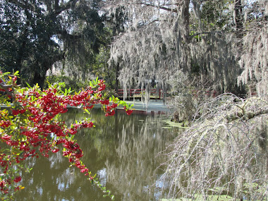 Magnolia Plantation in South Carolina