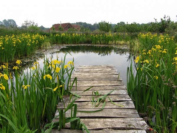 A pond like this would be beautiful and serene. - See This Pond? It’s Hiding A Secret That You’re Going To Absolutely Love…. Trust Me. A pond like this would be beautiful and serene. - See This Pond? It’s Hiding A Secret That You’re Going To Absolutely Love…. Trust Me.