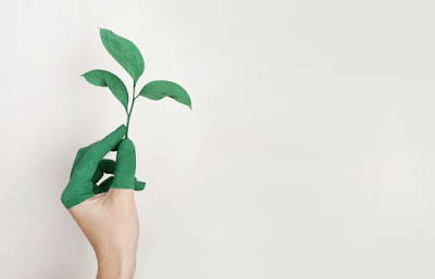 proyectos sustentables proyectos sustentables