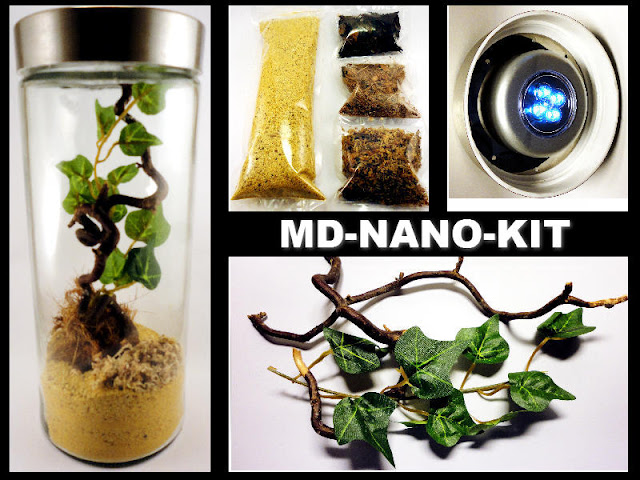 MD-Terraristik Nano-Kit Miniatur Terrarium für Wirbelllose und Spinnen