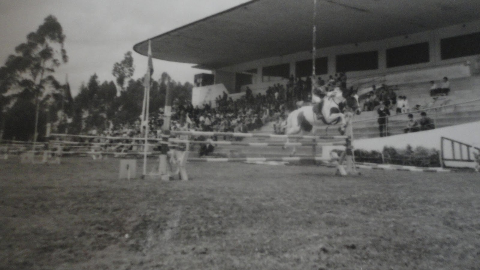 Talleres Ecuador Ecuestre