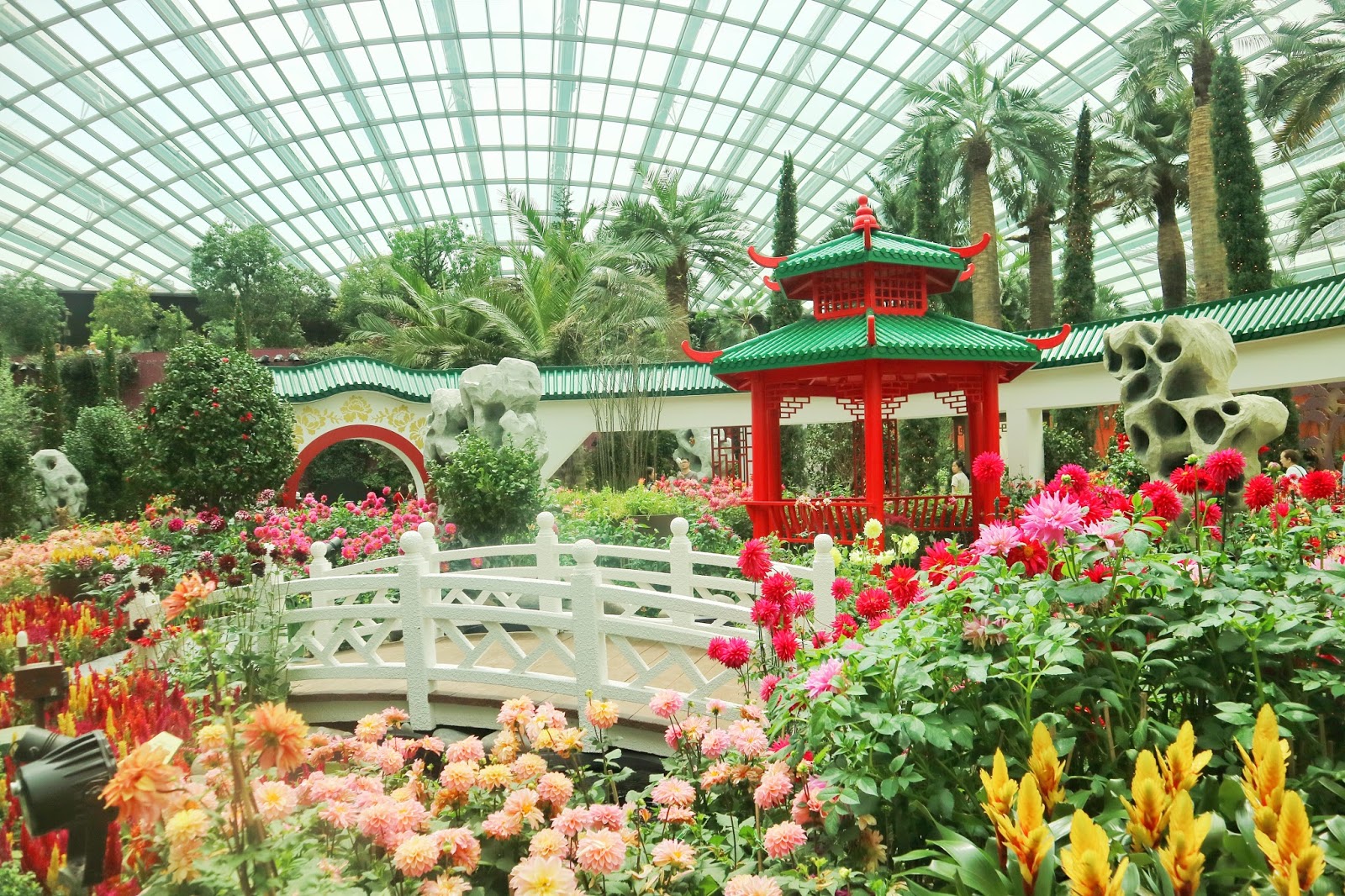 Gardens by the Bay and Marina Bay Sands Living in the Moment