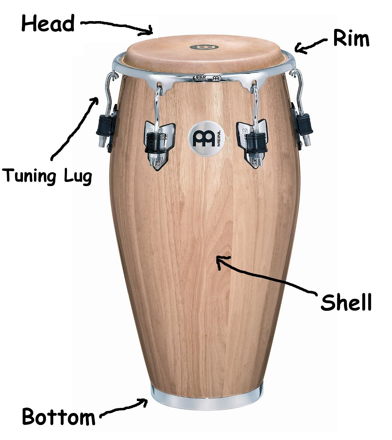 Montagen conga conga. Congas музыкальный инструмент. Montagem conga conga slowed. Congas mambo. Conga drums.