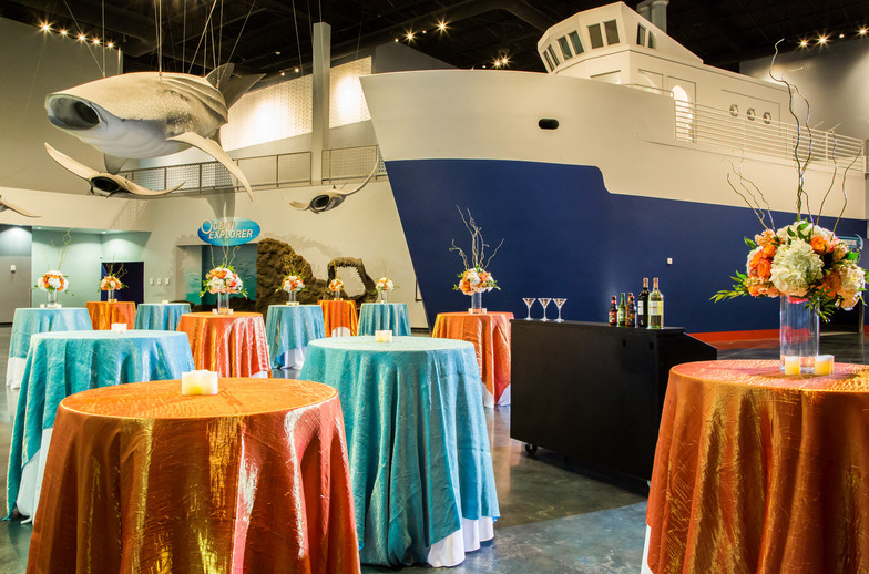 Loveland Living Planet Aquarium Wedding Venues" title=