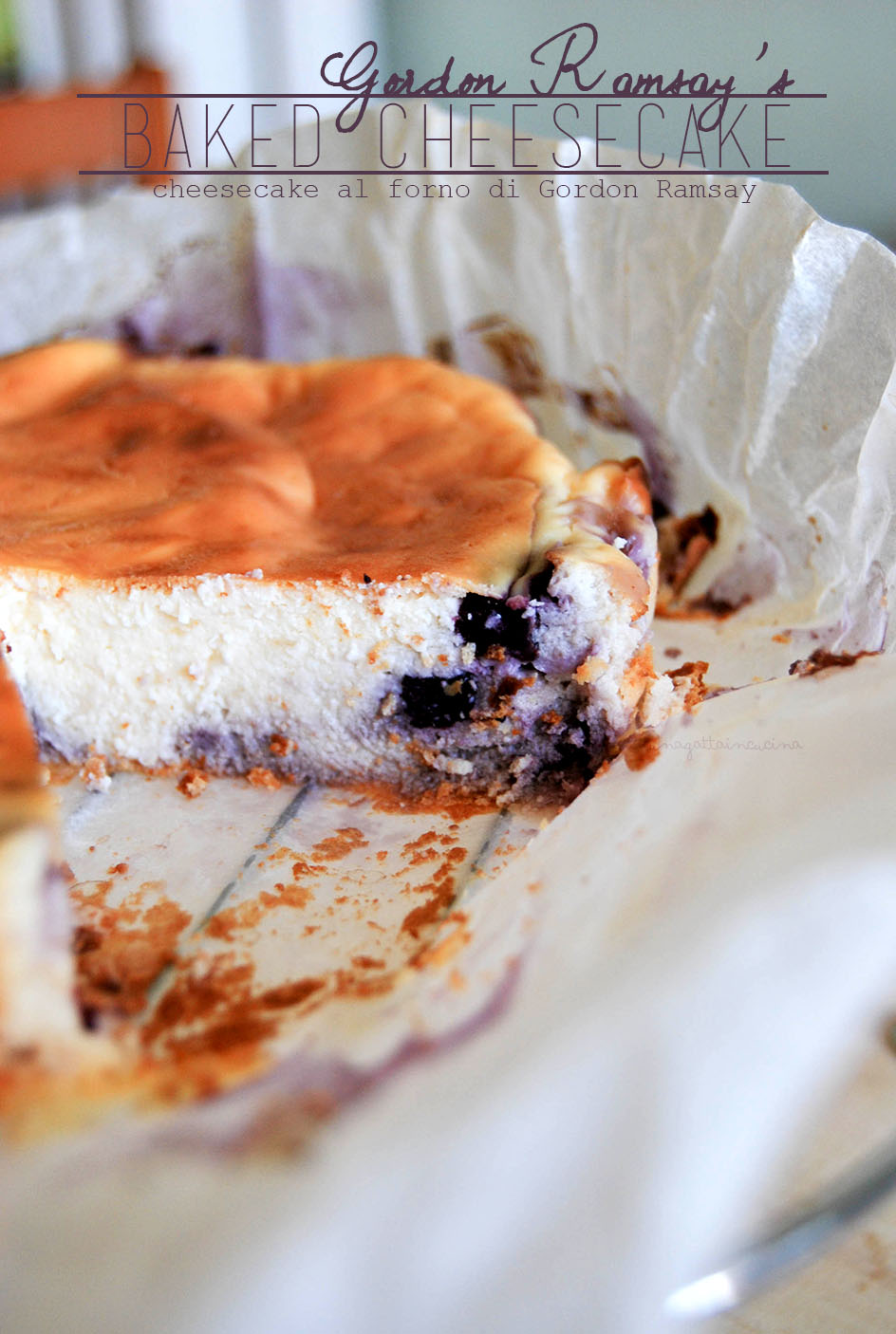 Una gatta in cucina Baked Cheesecake di Gordon Ramsay