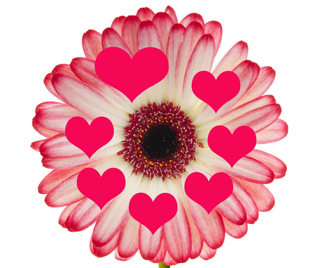Una flor con petalos y corazones rosa