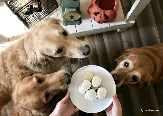 easy and healthy halloween treats for dogs