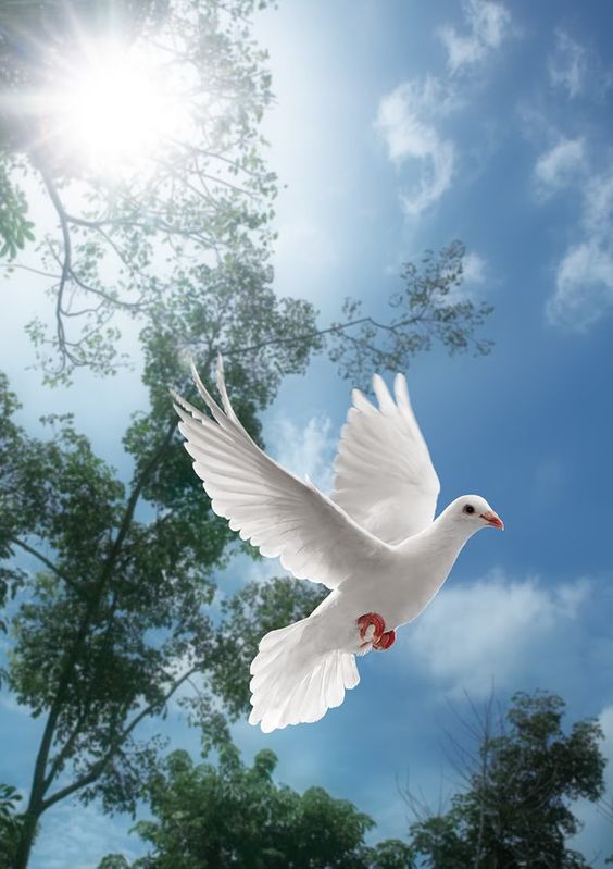 If it is only as much as a baby step today. He does not cease this work.