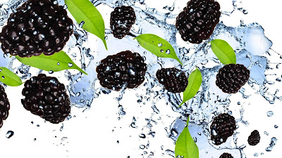 buah blackberry segar