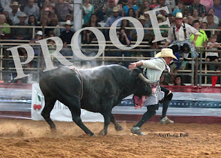 Anything Bull or Rusty: Saturday Round 4 - Clint Hopping