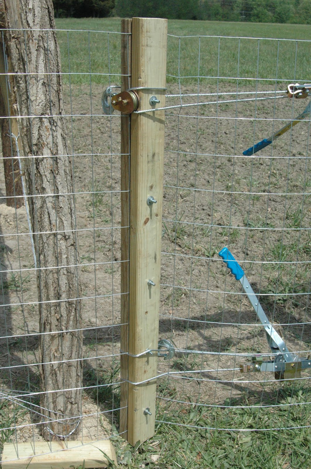 Green Legacy Farm Fencing, as in the Garden Green Acres Weekend Update