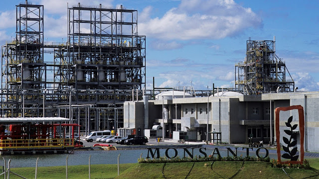 Resultado de imagem para Monsanto industria quimica