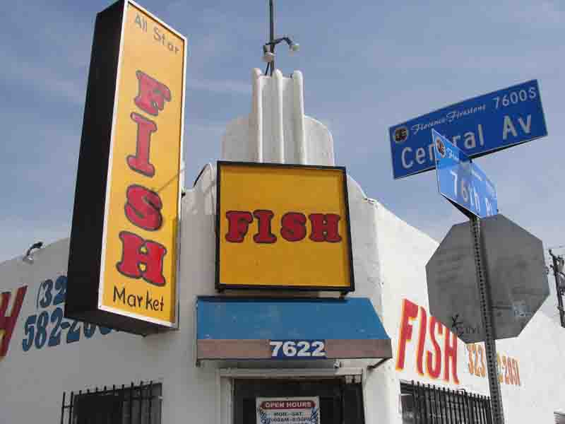 All star fish market Clearance